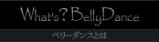 What's? BellyDance - ٥꡼󥹤Ȥ